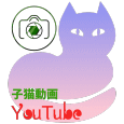 YouTube 子猫動画